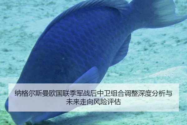 na-ge-er-si-man-ou-guo-lian-ji-jun-zhan-hou-zhong-wei-zu-he-tiao-zheng-shen-du-fen-xi-yu-wei-lai-zou-xiang-feng-xian-2-589.jpg